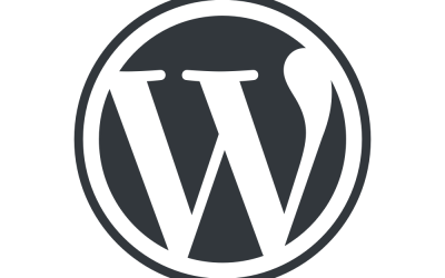 ¿De qué depende el rendimiento de WordPress?