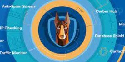 Blog 4 Cerber Security